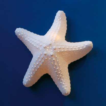 Lampe porcelaine mer étoile de mer