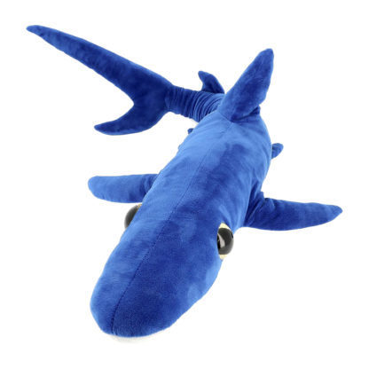 Mémoires d'Océans- requin peau bleue
