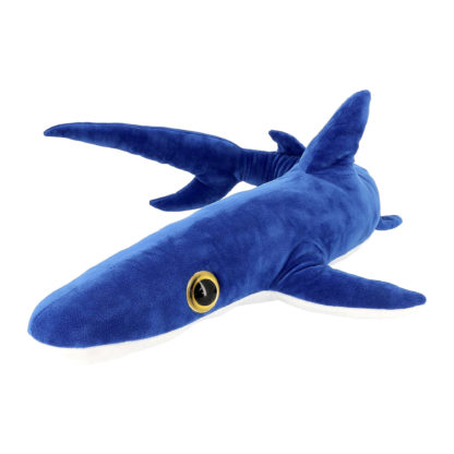 Mémoires d'Océans- requin peau bleue