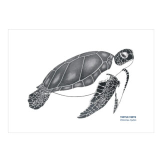 Carte A5 Tortue noir & blanc