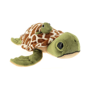 peluche tortue