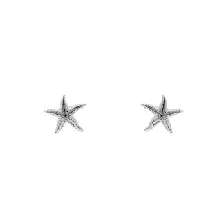 Boucles d'oreilles étoile de mer argent