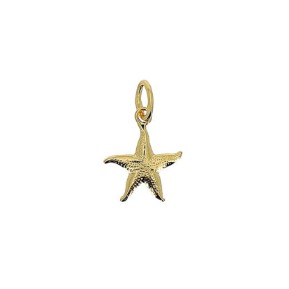 Pendentif étoile de mer plaqué or