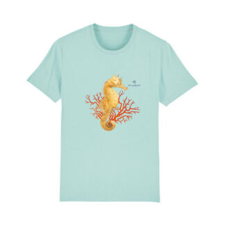T-shirt coton bio Hippocampe