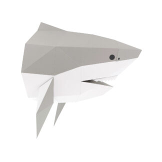 Maquette 3D Requin