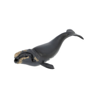 Figurine Papo Jeune baleine franche