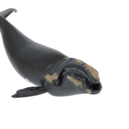 Figurine Papo Jeune baleine franche