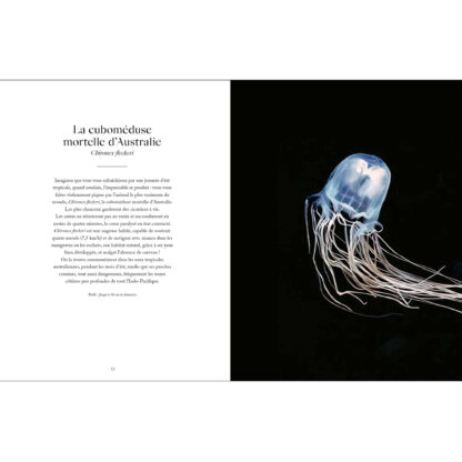 Livre Le monde étrange et fascinant des méduses