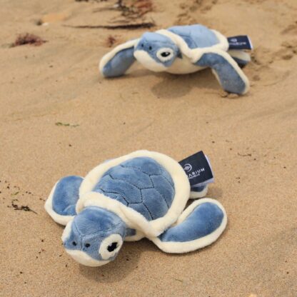 Peluche tortue bleue éco