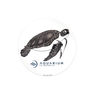 Magnet rond aquarium Tortue