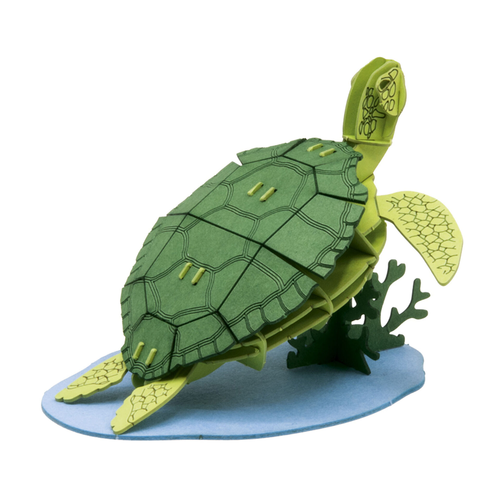 Maquette tortue de mer