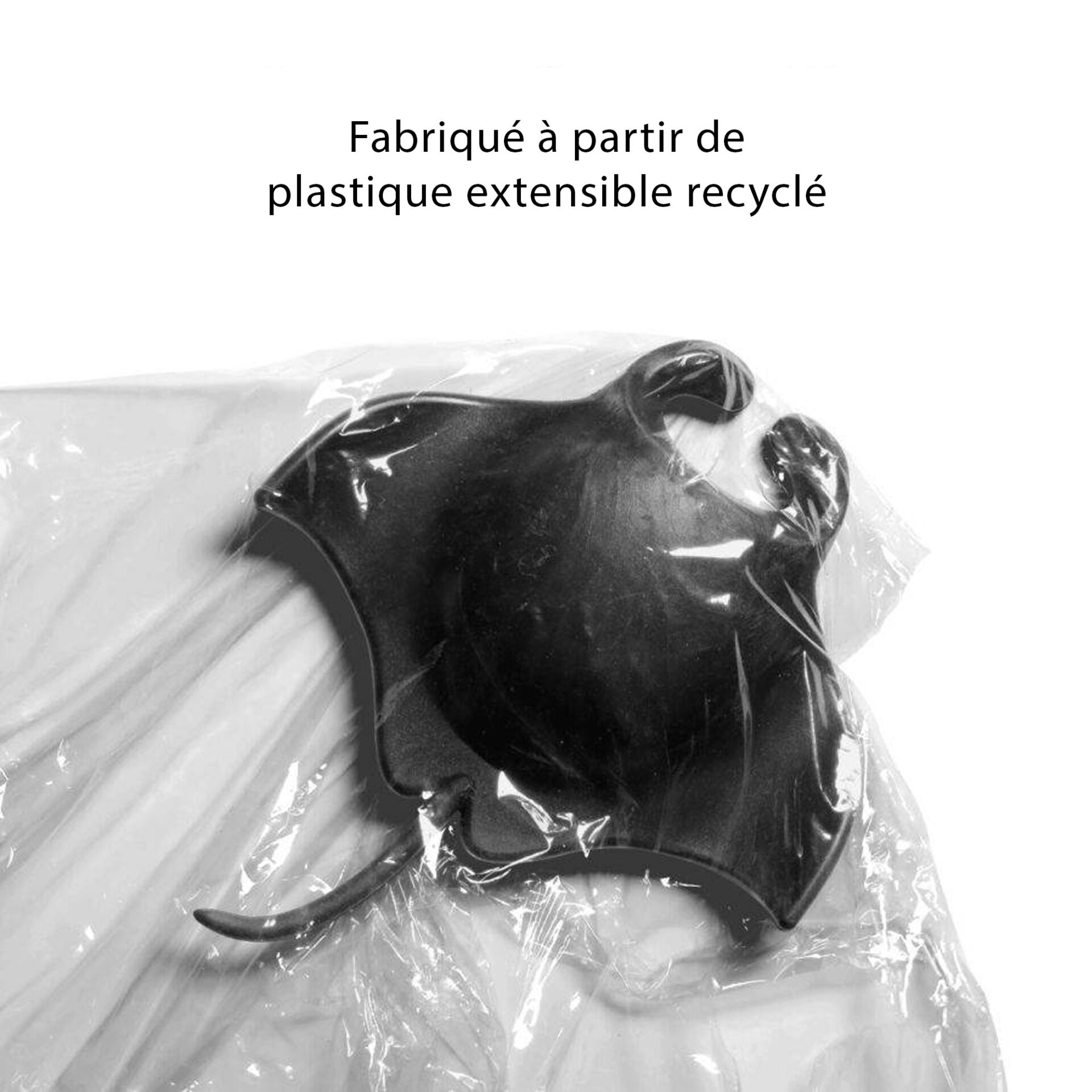 Décapsuleur magnétique raie manta
