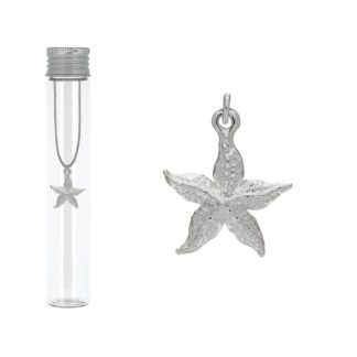 Pendentif étoile de mer plaqué argent