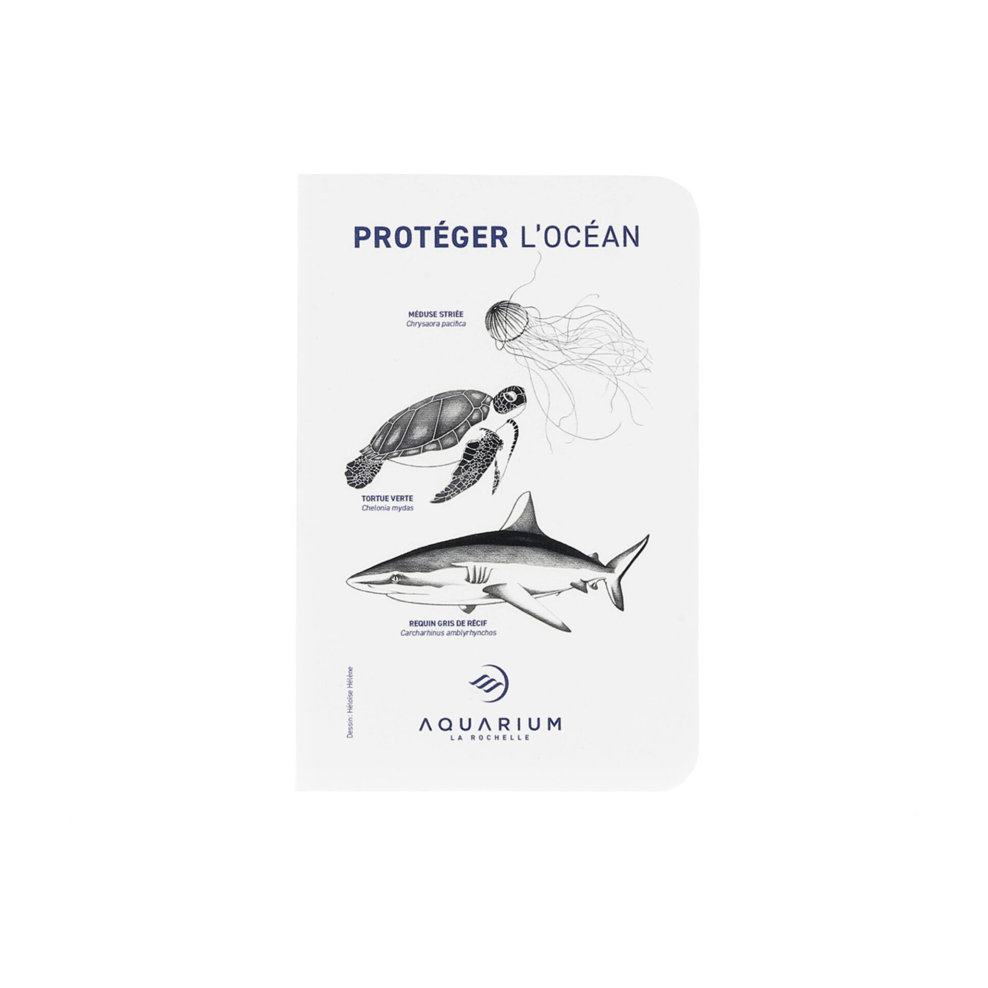 Carnet A6 Aquarium La Rochelle