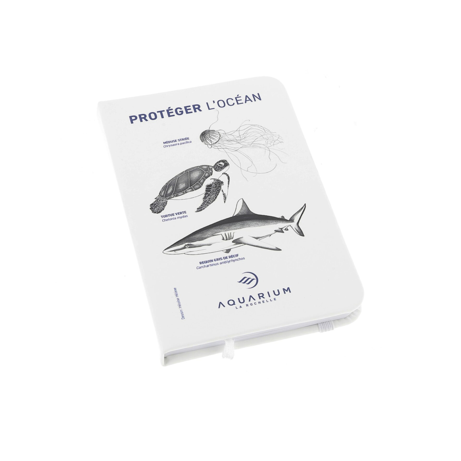 Carnet A6 Aquarium La Rochelle