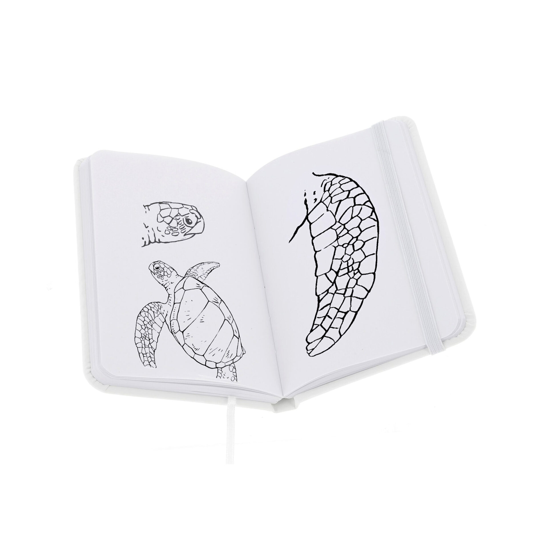 Carnet A6 Aquarium La Rochelle