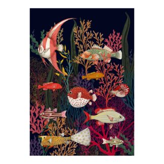 Carte A5 fresque Curiosités