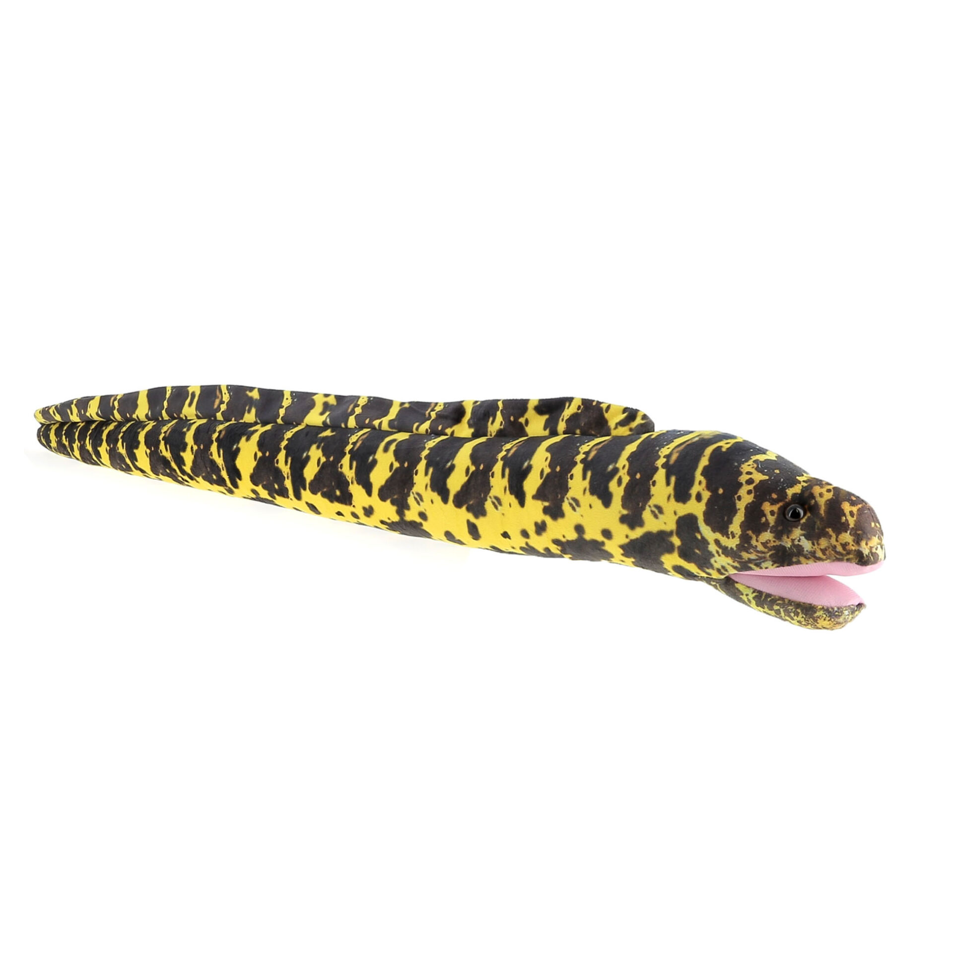 Peluche murène enchainée WFO