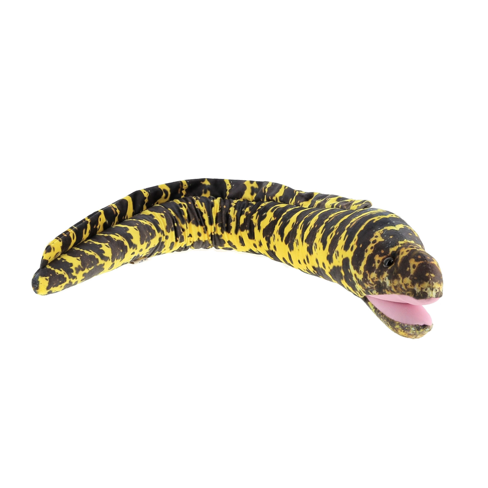 Peluche murène enchainée WFO