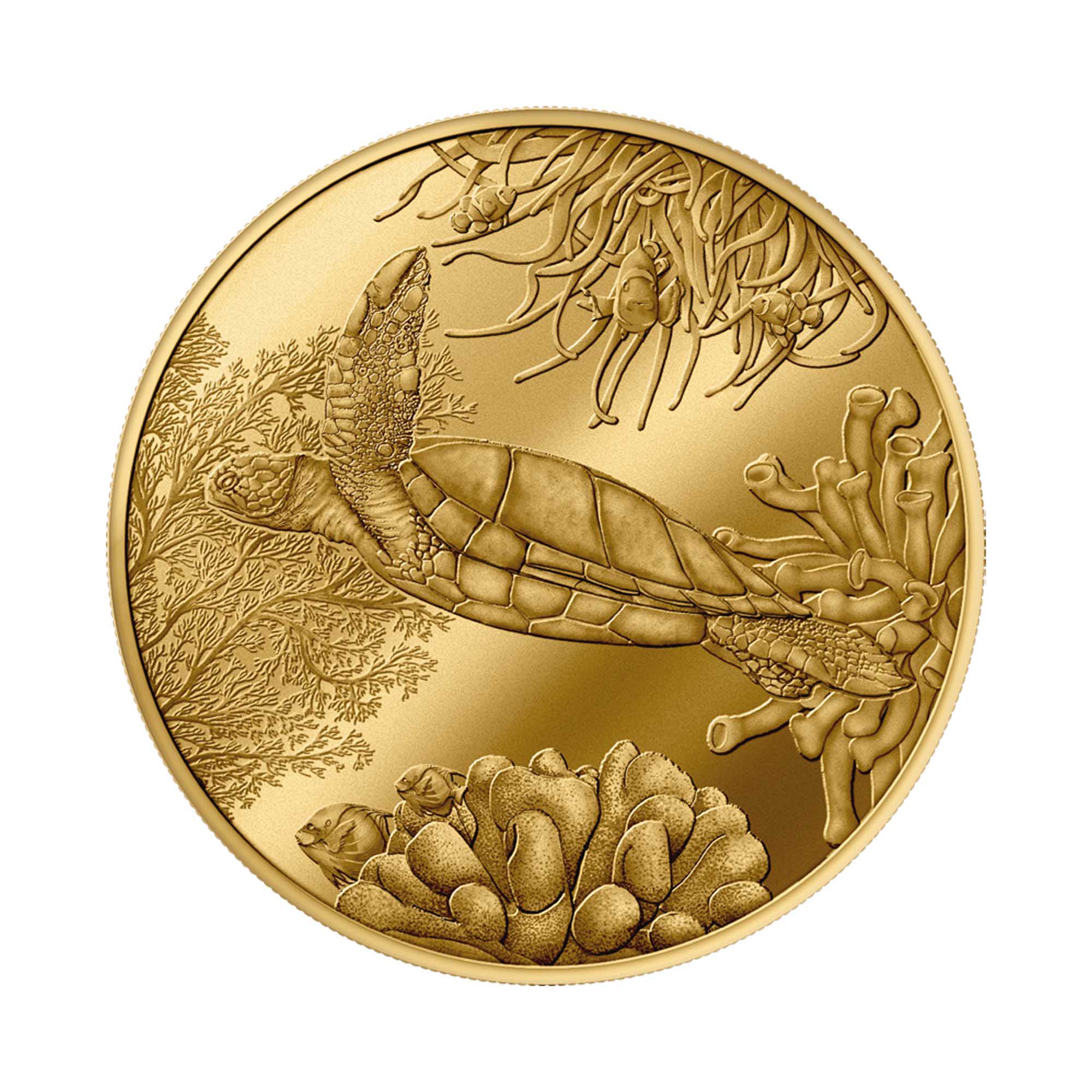 Médaille de collection Tortue anniversaire 2026 Monnaie de Paris