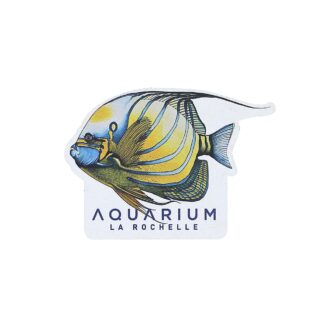 Magnet bois poisson ange à anneau Aquarium La Rochelle