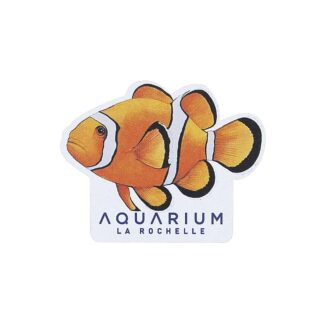 Magnet bois poisson clown Aquarium La Rochelle