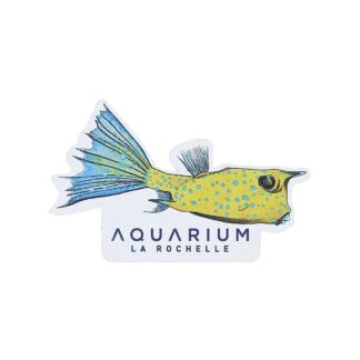 Magnet bois poisson coffre Aquarium La Rochelle