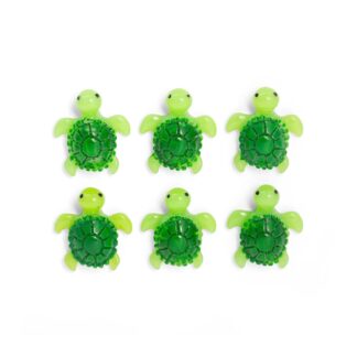 Set 6 magnets bébés tortues