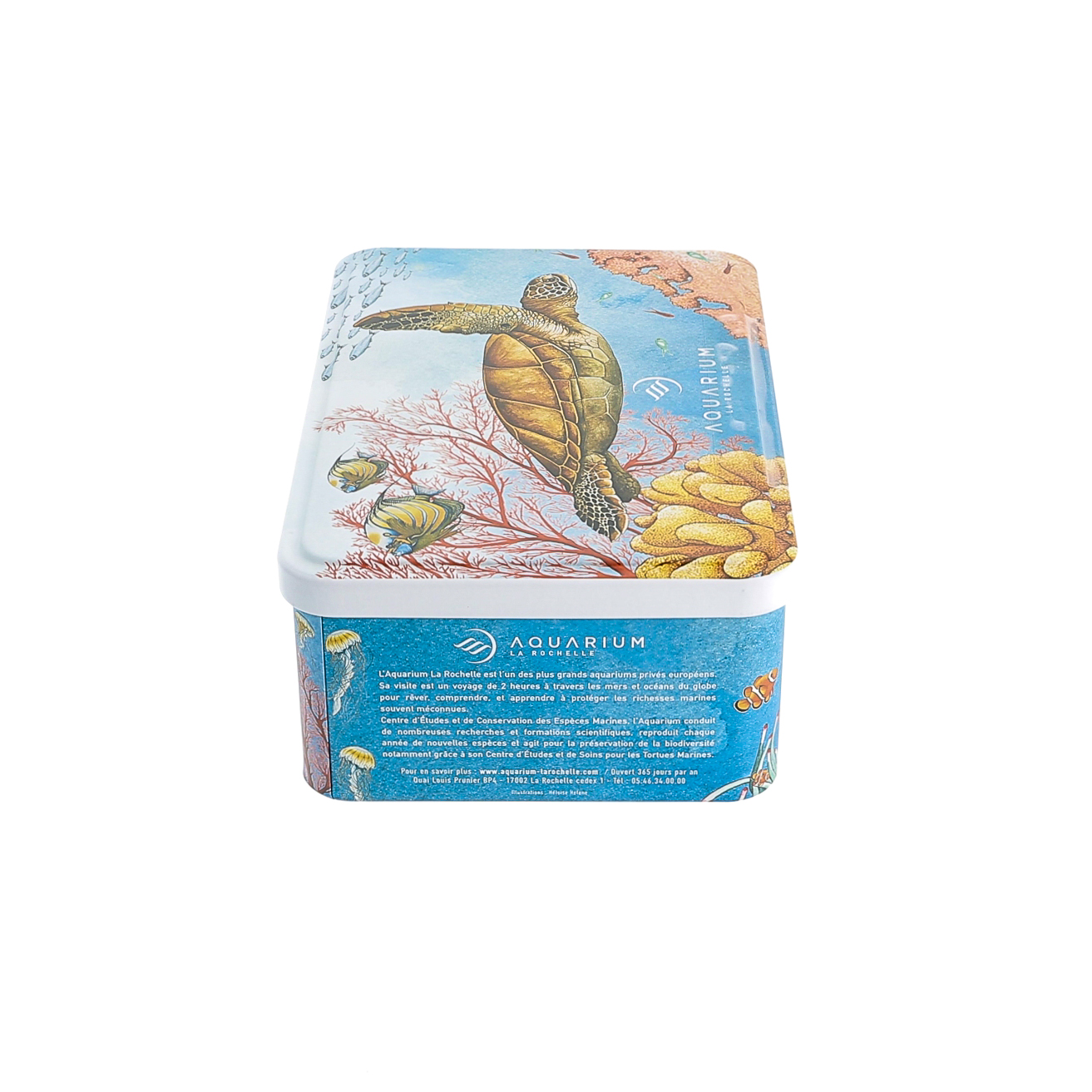 Boîte à biscuits métallique Beurley