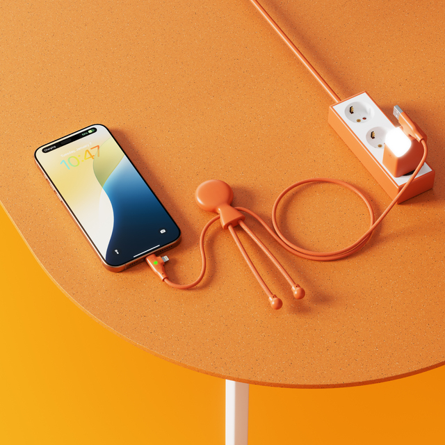 Cable charge rapide mr bio