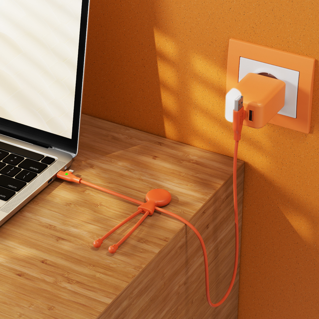 Cable charge rapide mr bio