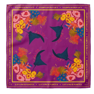 Bandana-planète-B